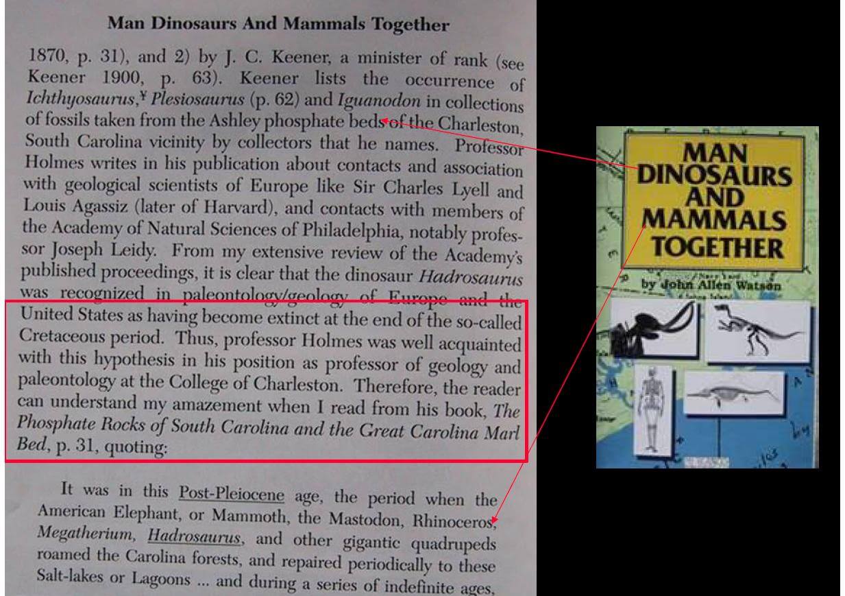 The flood changed a lot more than we think. Bible Prophecy and Truth