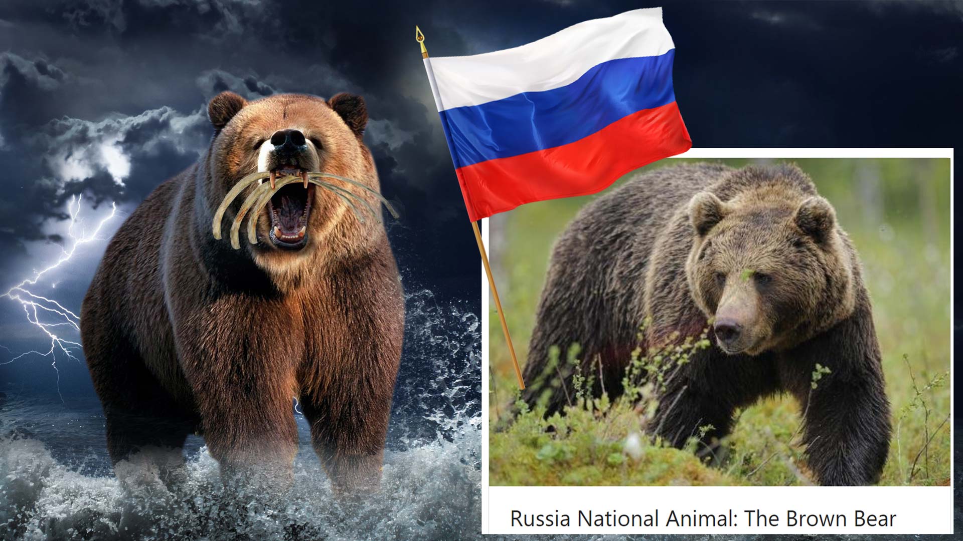 Revelation 13 beast is the Daniel 7 beasts joined in the New World Order Revelation 13 beast is the combined Daniel 7 beasts